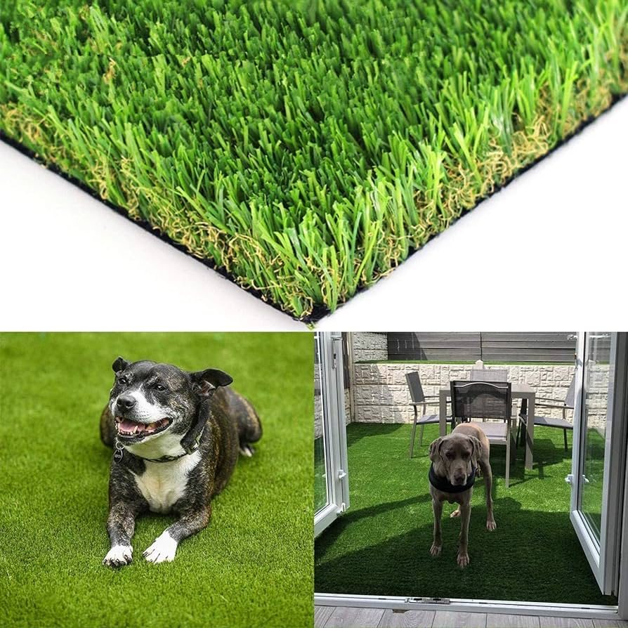 Petfreindlygrass