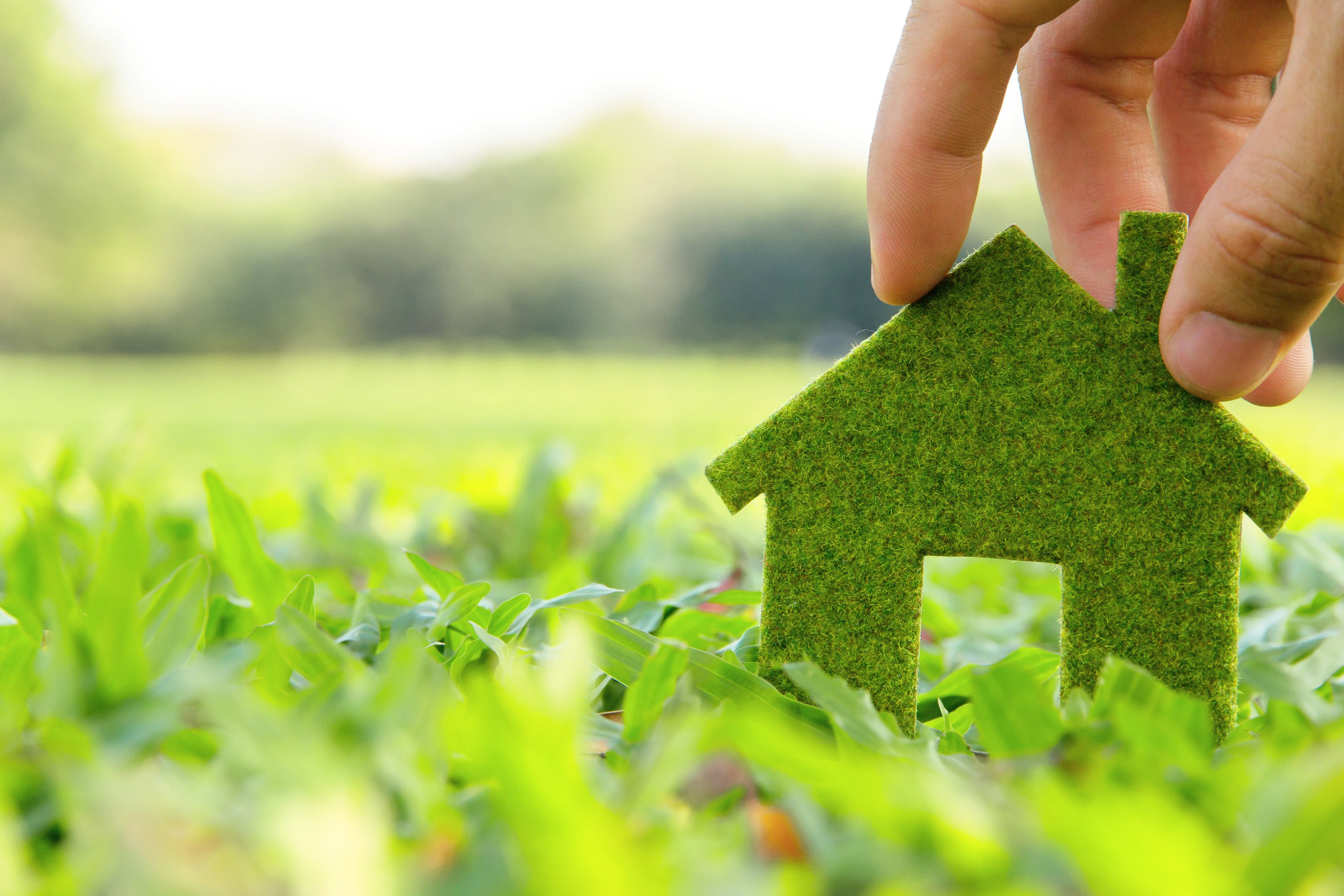 Sustainable Floorng Green House