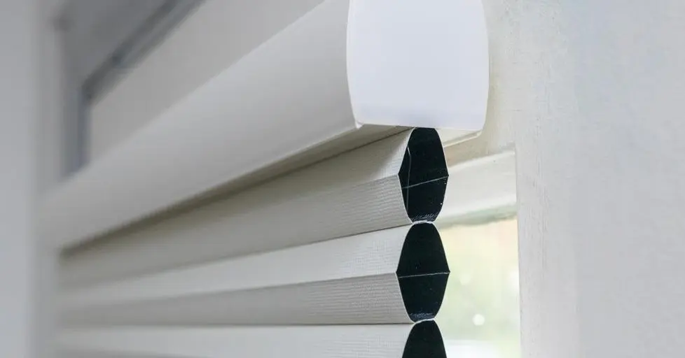 Cellular Shades popular in new apartments